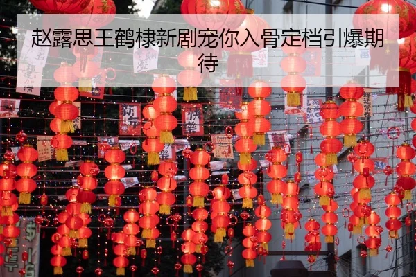 zhao-lu-si-wang-he-di-xin-ju-chong-ni-ru-gu-ding-dang-yin-bao-qi-dai-2-897.jpg